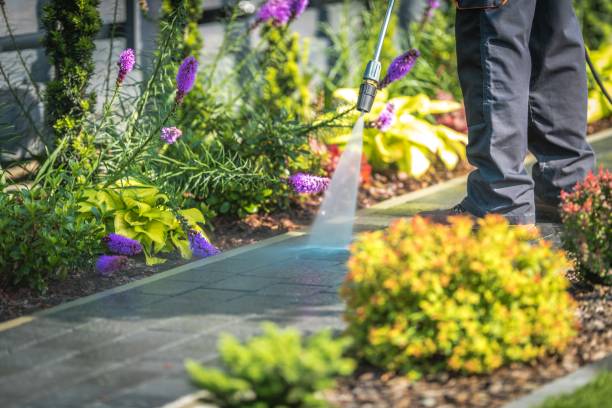 Best Warehouse Cleaning  in Monmouth, OR